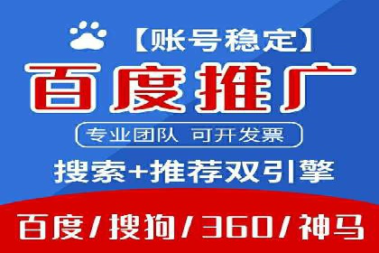 成功运用SEM服务实现品牌推广的案例分析